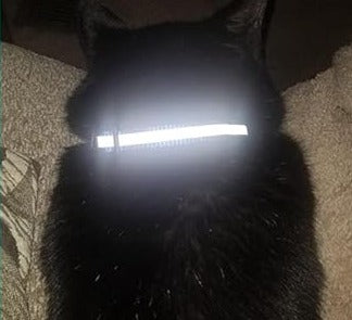 Reflective Airtag Collar