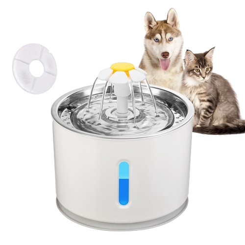 Cat Water Fountain